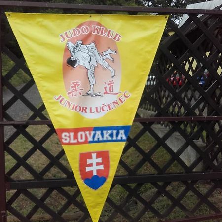 Turisticka Ubytovna Hotel Divény Kültér fotó